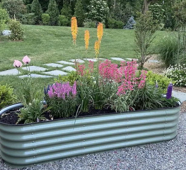 Raised beds can take a garden to the next level. Here’s what to know.￼